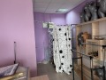 Продава МАГАЗИН, гр. Несебър, област Бургас, снимка 5