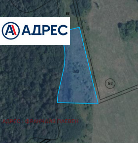 ����� ������� ���������� ����,��. �����, ������ �����