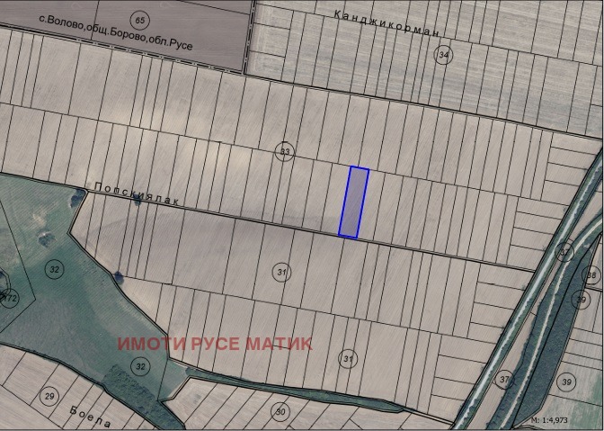 Продава ЗЕМЕДЕЛСКА ЗЕМЯ, гр. Борово, област Русе, снимка 2 - Земеделска земя - 53305594