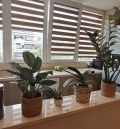 Продава 3-СТАЕН, гр. Карлово, област Пловдив, снимка 11