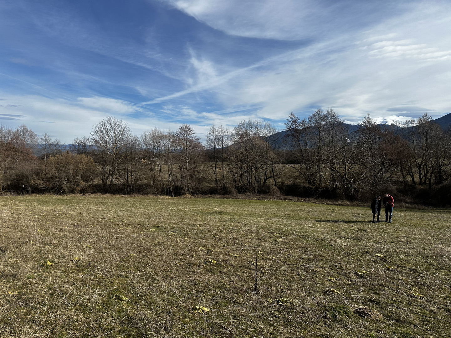 ������� ���������� ���� | Imot.bg � ����������� 6