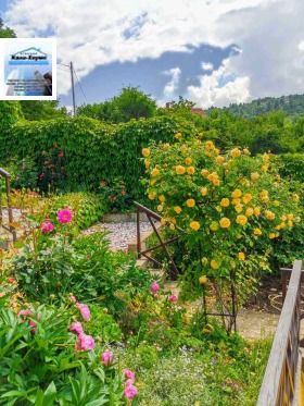 ������� ���� | Imot.bg � ����� ������ 17