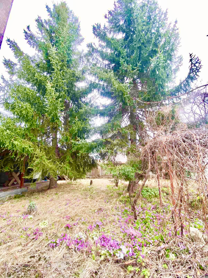 Til salg  Hus region Sofia , Samokov , 140 kvm | 55315284 - billede [5]