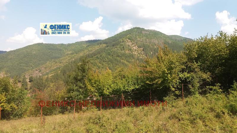 Продава  Парцел област София , с. Бакьово , 2535 кв.м | 25490103 - изображение [4]