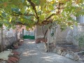 Продава КЪЩА, гр. Роман, област Враца, снимка 5