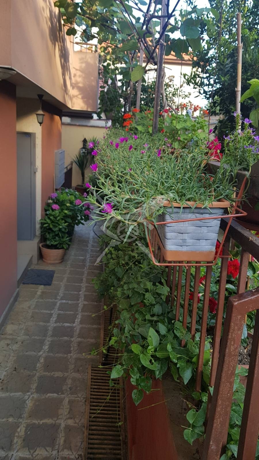 ������� 1-����� | Imot.bg � ����������� 1