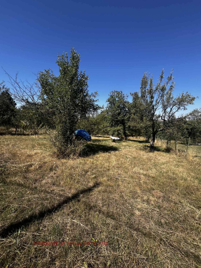 Eladó  Cselekmény Pernik , Bela voda , 710 négyzetméter | 27195306