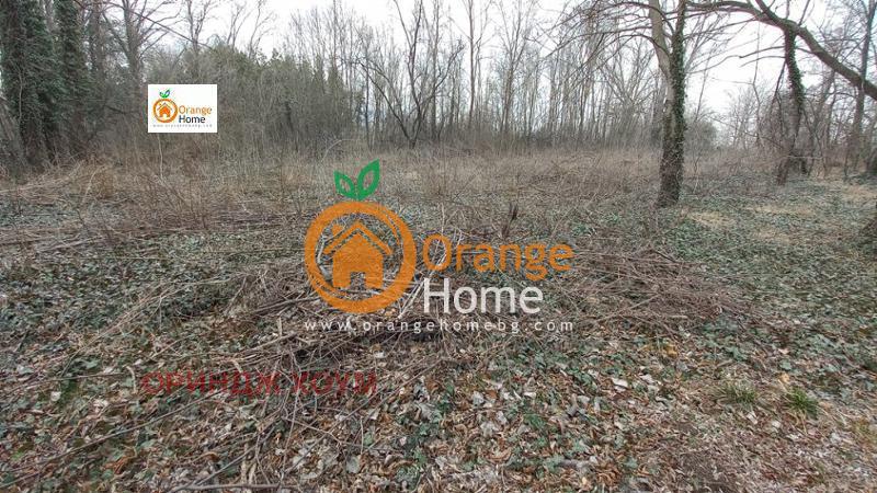 ������� ������ | Imot.bg � ����������� 7