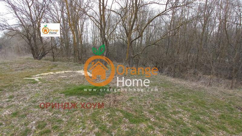 ������� ������ | Imot.bg � ����������� 8