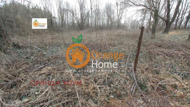 ������� ������ | Imot.bg � ����������� 6