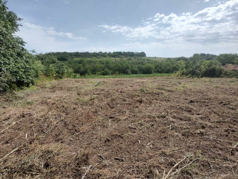 Продава ПАРЦЕЛ в област Добрич, с. Ваклино - 2180 кв.м / 23 000 € » 44 984.09 лв., РУДИ КЕЙ ДОБРИЧ