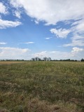 Продава  Парцел град Пловдив , Карловско шосе , 37542 кв.м | 18745948 - изображение [3]