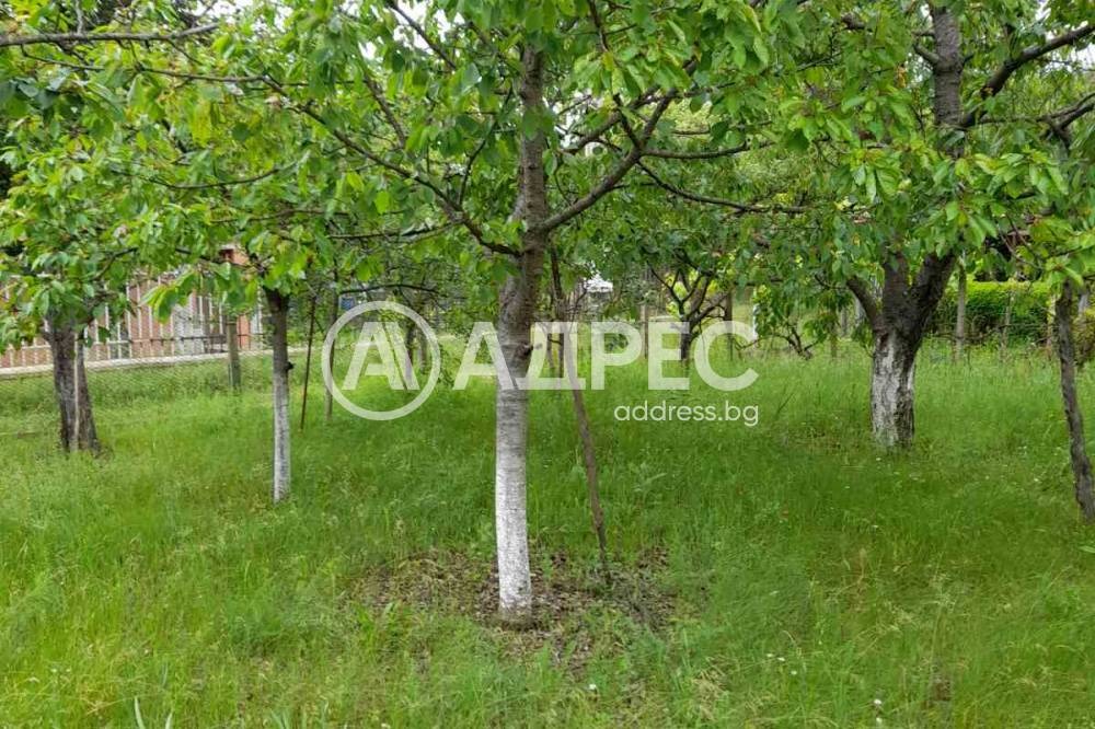 ������� ���� | Imot.bg � ����������� 3