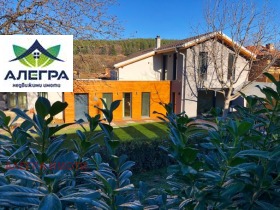 ������ ������� ����