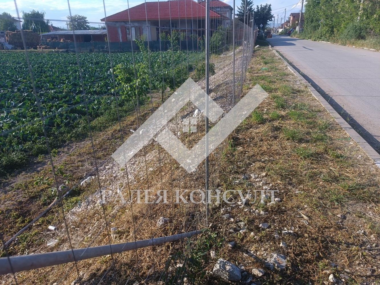 Продава ПАРЦЕЛ, с. Маноле, област Пловдив, снимка 3 - Парцели - 54624973