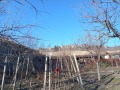 Продава КЪЩА, с. Кюлевча, област Шумен, снимка 9