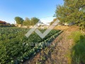 Продава ПАРЦЕЛ, с. Маноле, област Пловдив, снимка 1