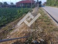 Продава ПАРЦЕЛ, с. Маноле, област Пловдив, снимка 3