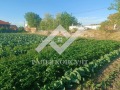 Продава ПАРЦЕЛ, с. Маноле, област Пловдив, снимка 2