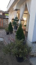 Продава КЪЩА, област София, гр. Ботевград • 420000 € • 77553360 — Holmes.bg