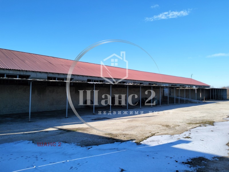 Продава БИЗНЕС ИМОТ, с. Белица, област Силистра, снимка 2 - Други - 50269337