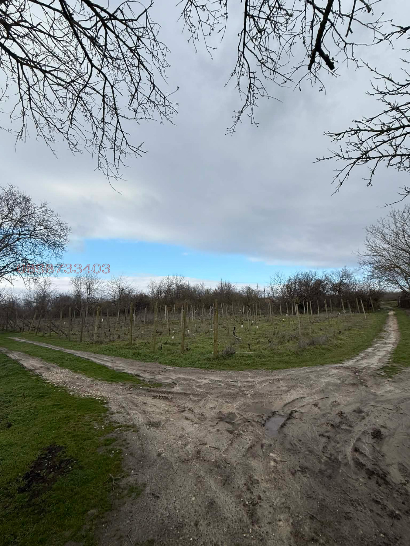 ������� ������ | Imot.bg � ����������� 1