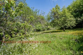 σπίτι Δραγαλεβτση, Σοφηια 9