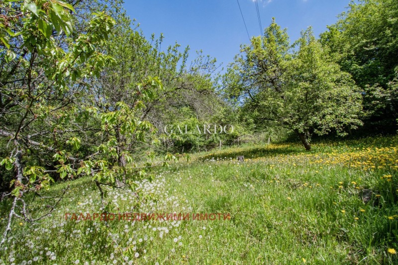 Satılık  Ev Sofia , Dragalevci , 385 metrekare | 83920948 - görüntü [9]