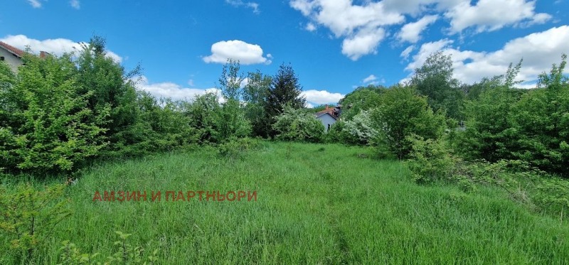 À vendre  Parcelle Sofia , Vladaya , 1646 m² | 64248747 - image [4]