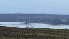 ����� ������� ������,�. ����� ����, ������ ������