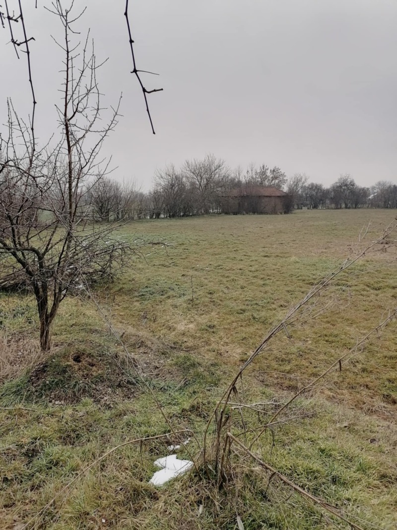Продава ПАРЦЕЛ в област Стара Загора, с. Памукчии - 1669 кв.м / 13 655 € » 26 706.86 лв., АМБРОЗИЯ - 90