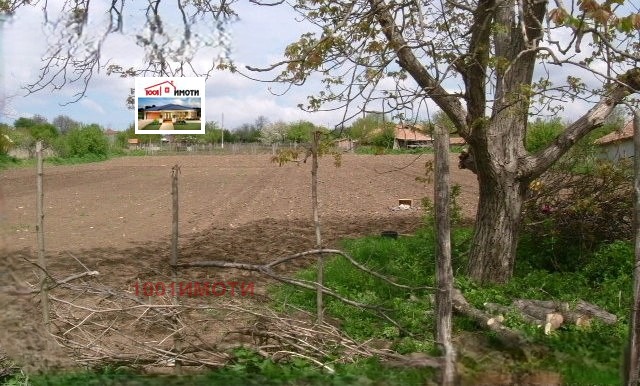 ������� ������ | Imot.bg � ����������� 1