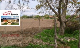 ������ ������� ������