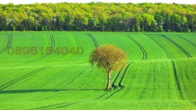 ������ ������� ���������� ����