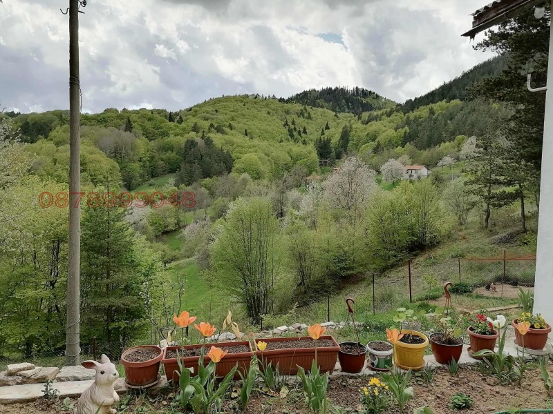 Продава ВИЛА, с. Чокманово, област Смолян, снимка 4 - Вили - 52792285