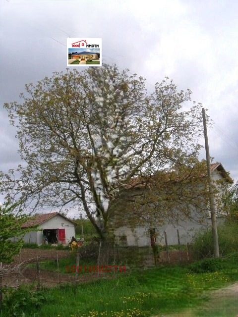 Продава ПАРЦЕЛ, с. Ведрина, област Добрич, снимка 3 - Парцели - 54351114