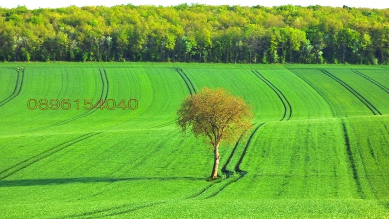 Продава ЗЕМЕДЕЛСКА ЗЕМЯ, с. Генерал Тошево, област Ямбол