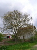 Продава ПАРЦЕЛ, област Добрич, с. Ведрина • 18900 € / 36965.19 лв. • 20906290 3