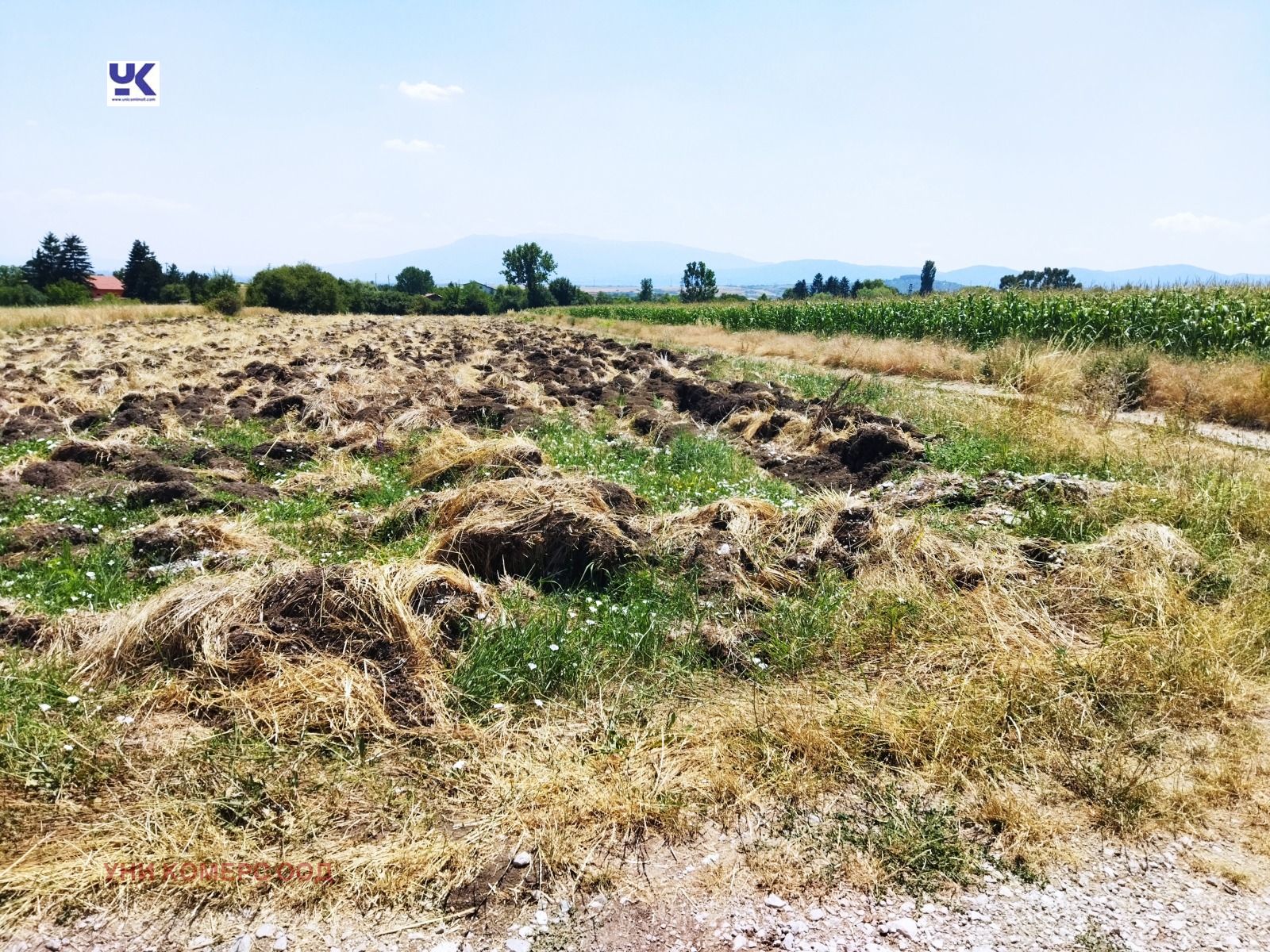 ������� ������ | Imot.bg � ����������� 3