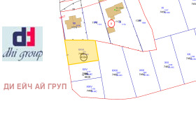 ����� ������� ������,���� �����, ���������