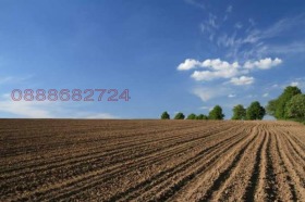 ����� ������� ���������� ����,�. �����, ������ ����