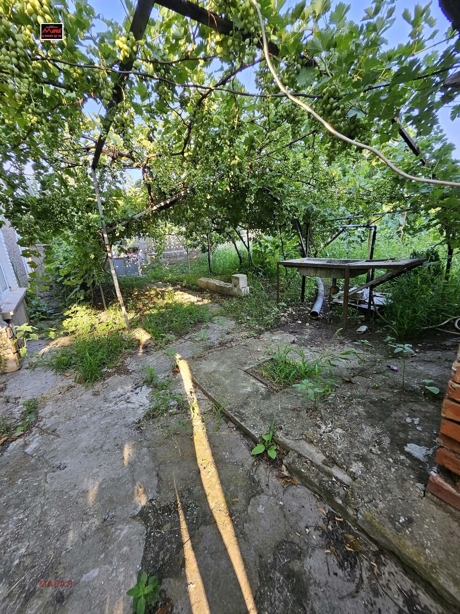 Продава КЪЩА, с. Цар Самуил, област Силистра, снимка 11 - Къщи - 55791279