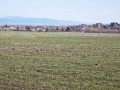 Продава ПАРЦЕЛ, област София, гр. Божурище • 12000 € • 41506052 — Holmes.bg