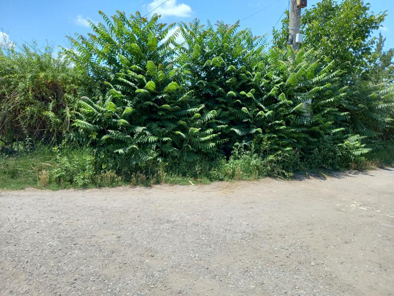 ������� ������ | Imot.bg � ����������� 3