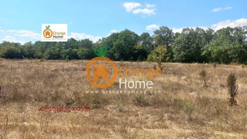 Till salu  Landa region Dobrich , Carkva , 4 dka | 66388608 - bild [2]