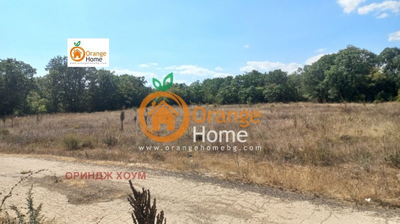 Till salu  Landa region Dobrich , Carkva , 4 dka | 66388608 - bild [6]