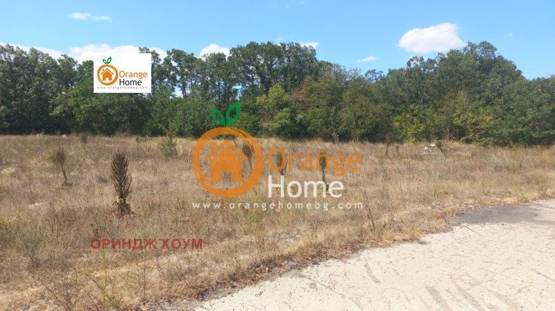 Till salu  Landa region Dobrich , Carkva , 4 dka | 66388608 - bild [4]