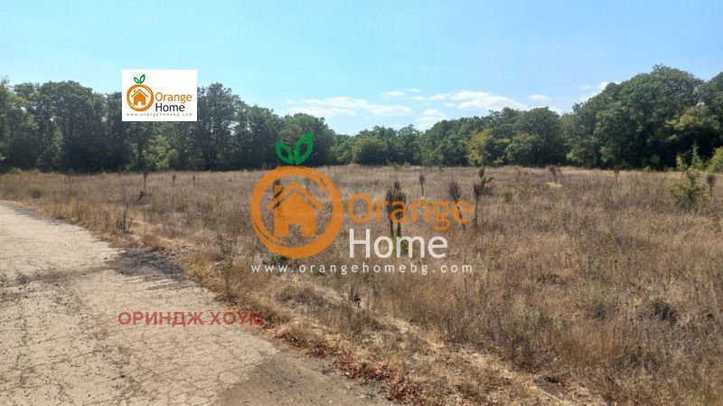 Till salu  Landa region Dobrich , Carkva , 4 dka | 66388608 - bild [7]