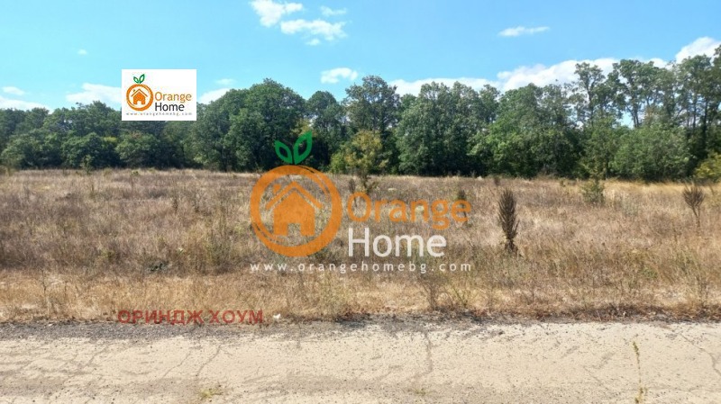 Till salu  Landa region Dobrich , Carkva , 4 dka | 66388608 - bild [5]