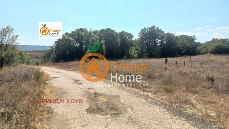 Till salu  Landa region Dobrich , Carkva , 4 dka | 66388608 - bild [10]